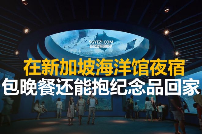 新加坡海洋馆奢华露营体验：家庭评测